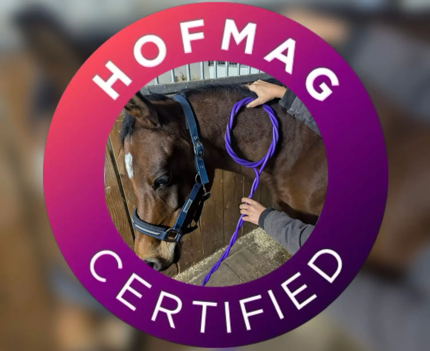 Tierveerbunden-arbeiten - Tierkommunikation, Hypnose Coaching, TCM Akupunktur , Effektive Hofmag Behandlung - Hofmag-zertifiziert